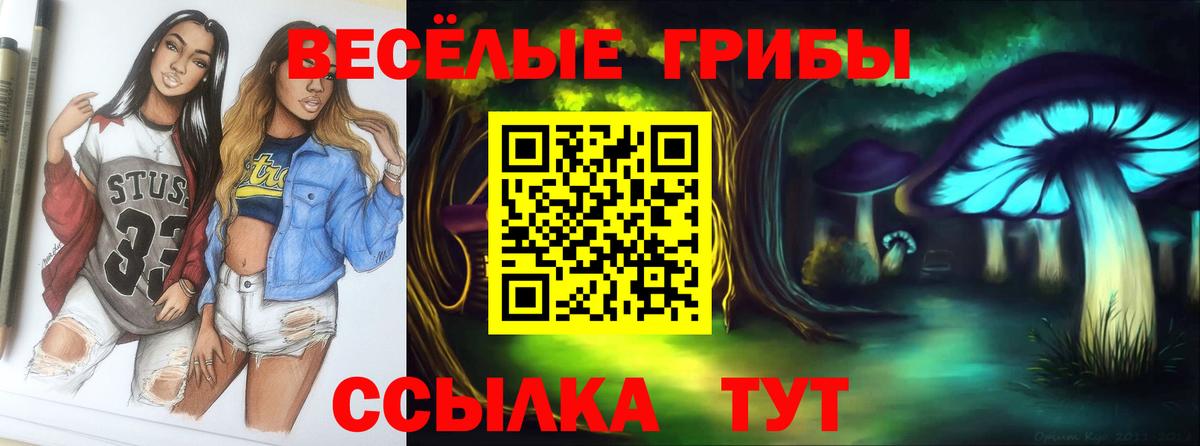 Псилоцибиновые грибы ЛСД Корсаков