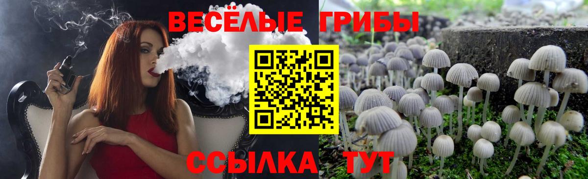 Корсаков  где найти   Вход с VPN  Псилоцибиновые грибы прущие грибы 